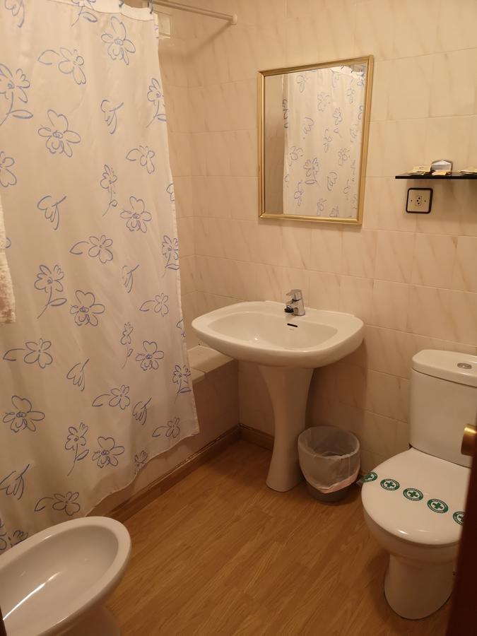 Hostal Pirineos Sarvisé エクステリア 写真